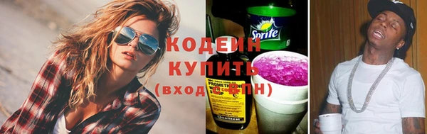 spice Богородск