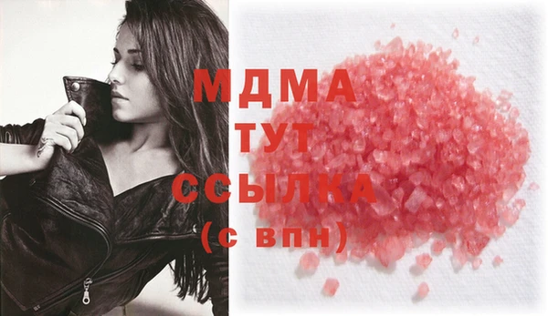 spice Богородск