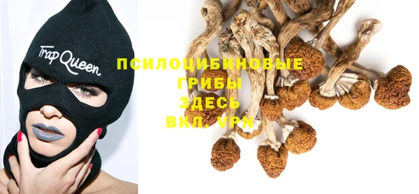 марки nbome Богданович
