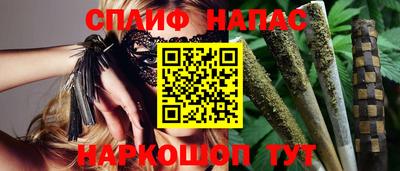 СК Абакан