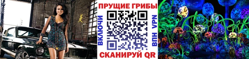 Псилоцибиновые грибы Cubensis Пыть-Ях