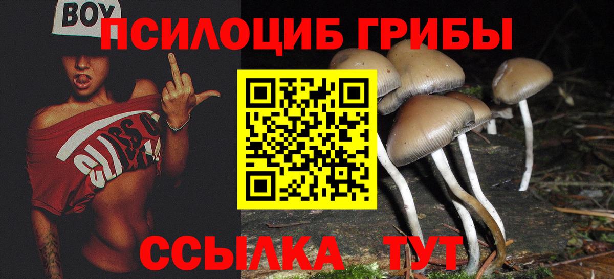 Псилоцибиновые грибы мухоморы  Вход с VPN  Пыть-Ях  Галлюциногенные грибы GOLDEN TEACHER 